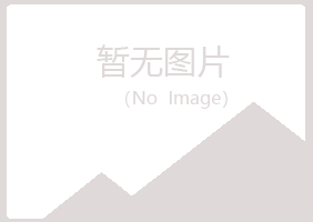 河间盼夏工程有限公司